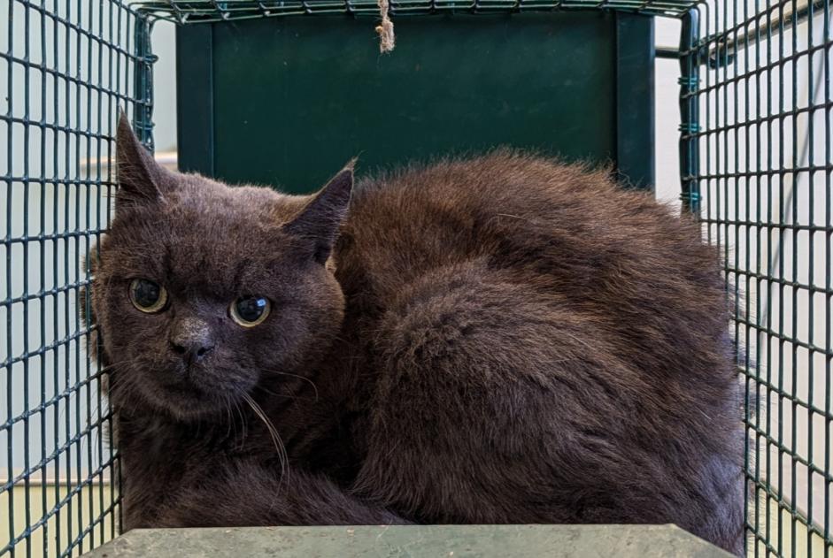 Ontdekkingsalarm Kat  Onbekend , 2 jaar Nans Frankrijk